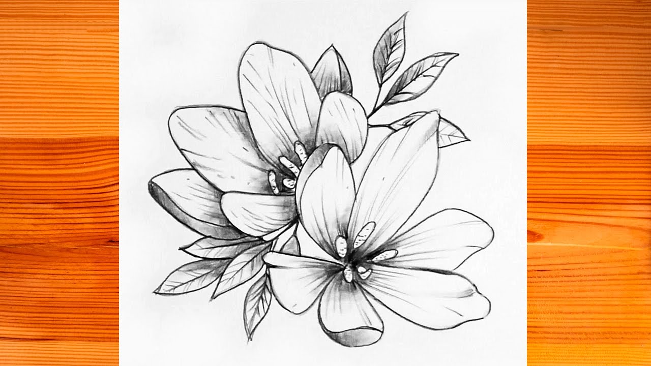 Dibujo De Flores Paso A Paso Para Principiantes