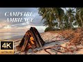 4K Campfire Ambience on a  Palm Lined Tanzanian Beach at Sunrise - Relaxing Fire & Nature Sounds