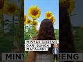 MINYAK GORENG BUNGA MATAHARI #faktamenarik #faktaunik #infounik #fyp #viral