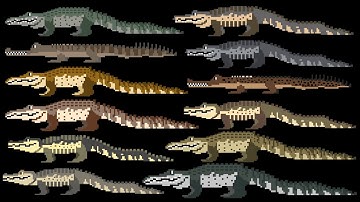 Crocodilians - @TheKidsPictureShow (Ft. @Fireanimations-c9f)