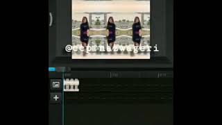 TUTORIAL SHAKE DI CCP|| #tutorialccp