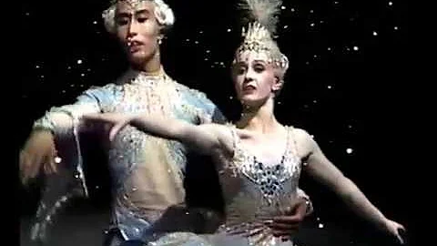 Blue Bird pas de deux filmed by Janette Miller