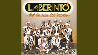 Video thumbnail of "Grupo Laberinto - Con Las Alas Rotas"
