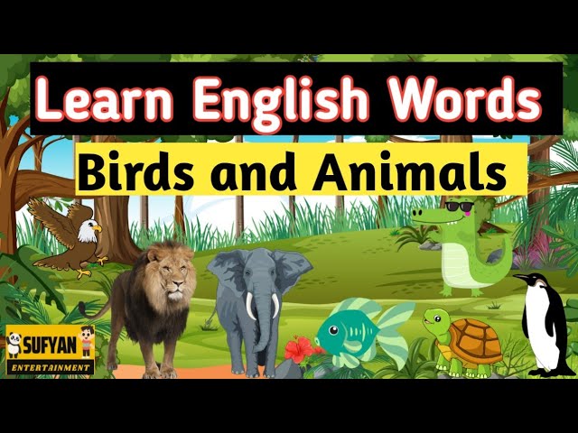 Birds | Animal | Learn English Words video For Kids and Toddlers | sufyan entertainment | Pre School class=