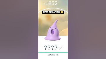 If ditto evolves in pokemon go.