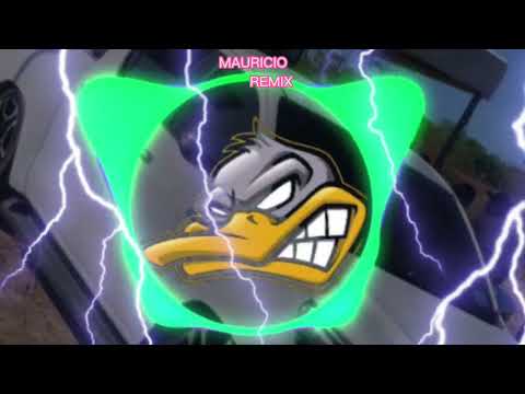 VIDRO FUMÊ -
