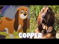 The Fox And The Hound Characters In Real Life 2022
