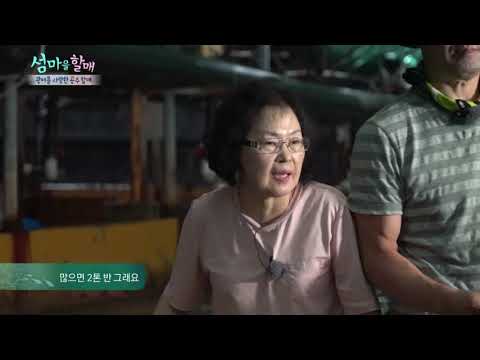 성어 15톤, 치어 15만 마리가 사는 <strong>신지도</strong> 광어양식장 [섬마을할매] 13회