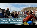 Diving in Smögen, Sweden