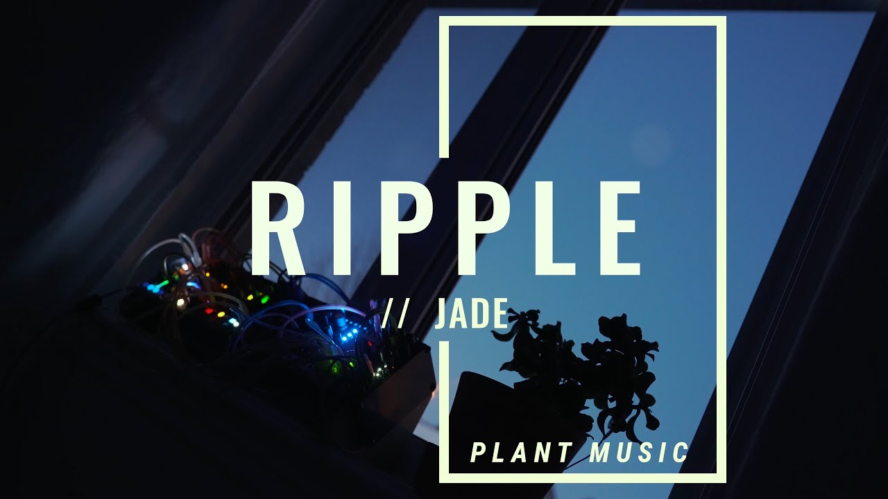 Plant Music Ripple Jade [ Unattended Generative DFAM, Morphagene