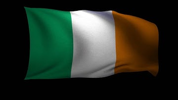 Irish Flag - 3D