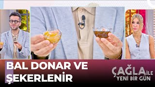 Yediğimiz Yiyecekler Gerçek Mi Yoksa Sahte Mi? - Çağla İle Yeni Bir Gün 1141 Bölüm