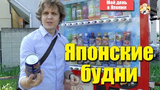 Как Проходит Мой День в Японии. Японские Будни [1]