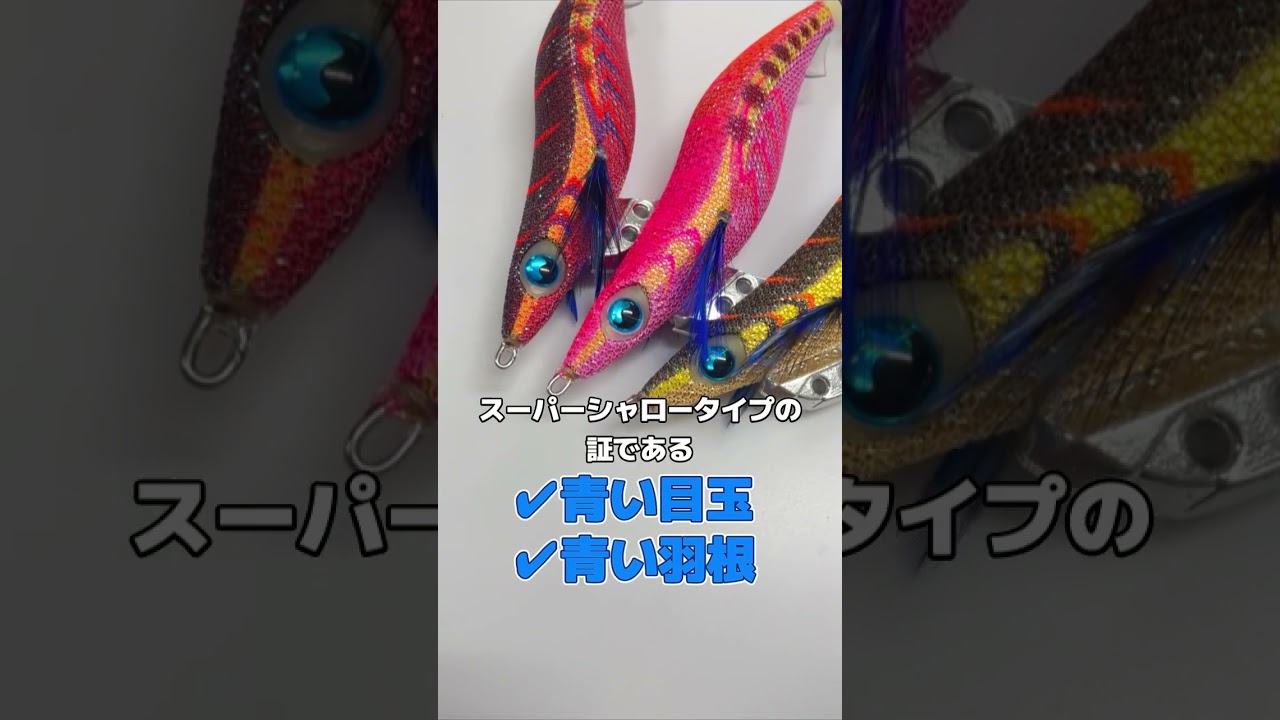 エギ王K3.5号スーパーシャローの紹介です！#エギ王 #エギ王k