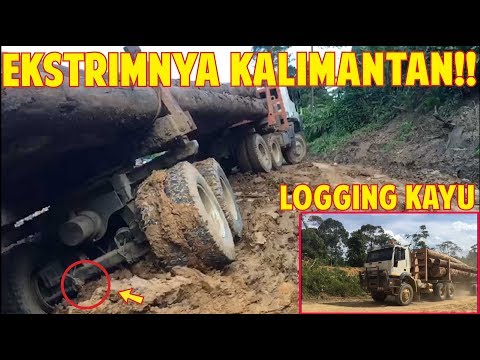 EXTREME ROADS !! Kalimantan Timber Logging Truck Nissan TZA Mercy Actros Axor Iveco Trakker
