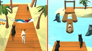 Dog Run 3D Fun Race 🐕🐕 All Laval Gameplay - Android Game DR3D12 screenshot 5