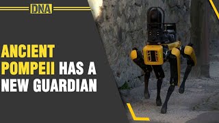 Meet SPOT, the robot guard dog called in to help manage Pompeii