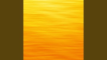 Vivacious Backdrops for Endless Vibes