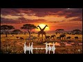Master KG - Jerusalema [Feat. Nomcebo]