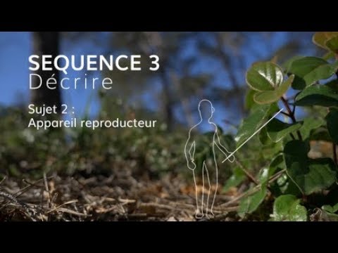 Vidéo: Que signifient dioïques et monoïques ? Comprendre les types de plantes dioïques et monoïques