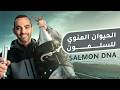 ماذا يفعل الحيوان المنوي للسلمون في بشرتنا 