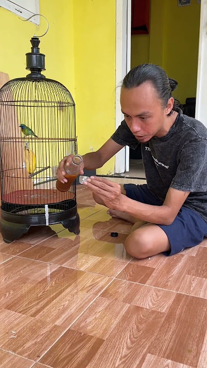 Pemberian Nextar Ke Burung Cucak Kinoi Hanya Segini #qinarakicau #kicaumania #qinarabanyuwangi