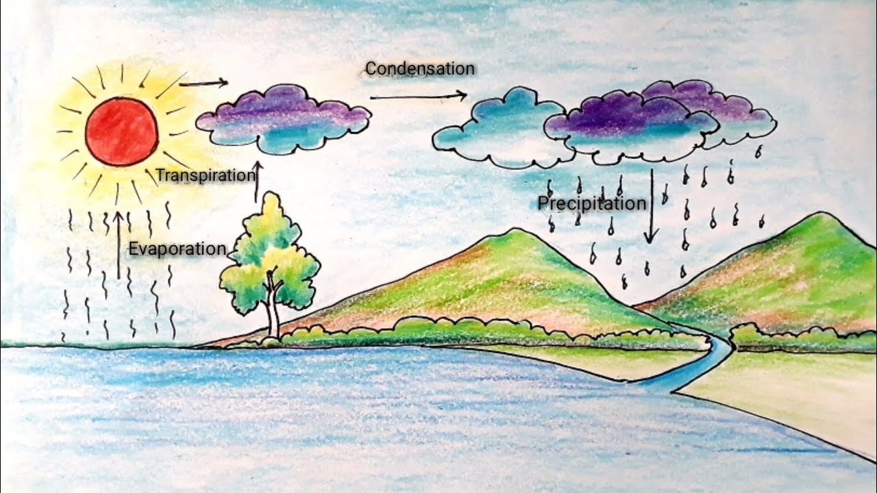 Easy Water Cycle Drawing How To Draw Water Cycle Of A School Project