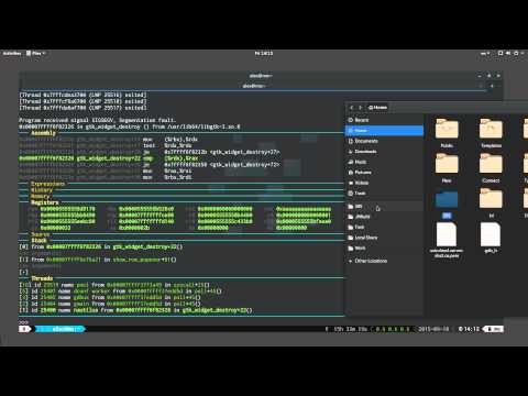GDB Dashboard |