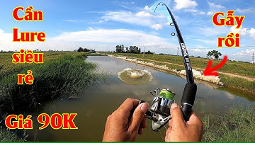 Đi săn Cá Lóc Hugo bằng cần Lure 90k và cái kết