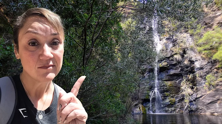 Haunted Waterfall Gully: The Ghostly Tales Behind the Trails