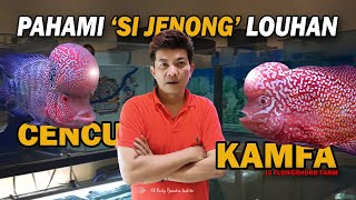 JANGAN KELIRU!!! INI PERBEDAAN LOUHAN CENCU VS KAMFA, ANATOMI JANTAN VS BETINA | J3 FLOWERHORN FARM