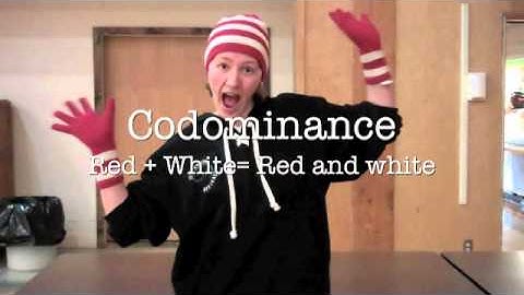 Complex Patterns of Inheritance