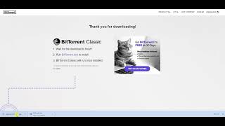 Why does BitTorrent or other Torrent NOT install on Windows (2022)? Quick Fix in Allowing the .exe screenshot 5