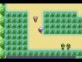 FireRed Episode 7 Gangsta mobile