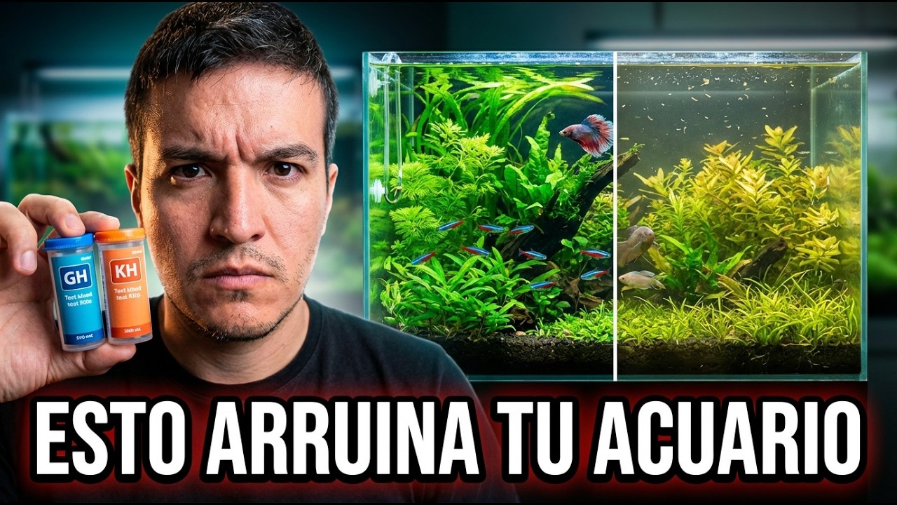 El error del agua que está arruinando tu acuario (GH y KH)