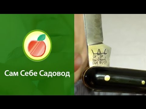 Прививочный Нож Victorinox Купить