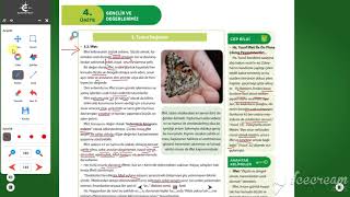 Dkab 9. Sınıf Temel Değerleriffet 6