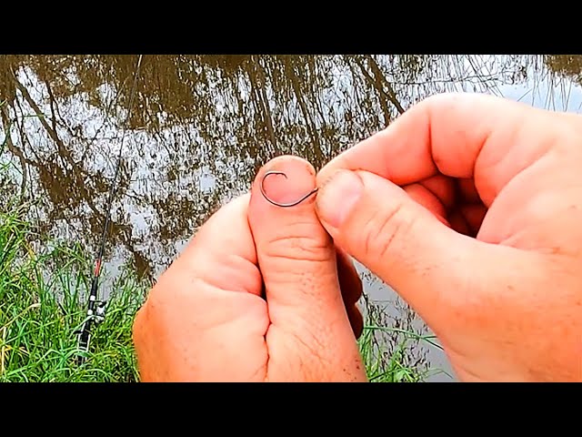 The Three Basic Fishing Hooks and When to Use Them 