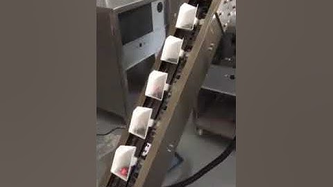 Pyramid Tea Bag With String And Tag Packing Machine