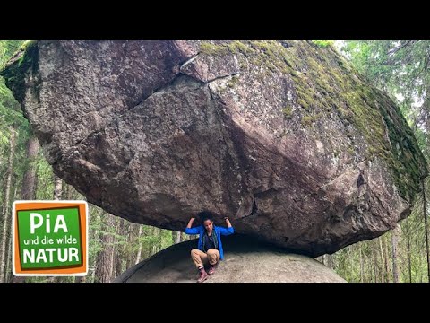 Eisbaden am Polarkreis | Reportage für Kinder | Pia und die wilde Natur