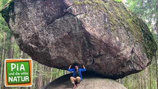 Die Steine Des Riesen Vom Saimaa See Reportage Für Kinder Pia Und Die Wilde Natur