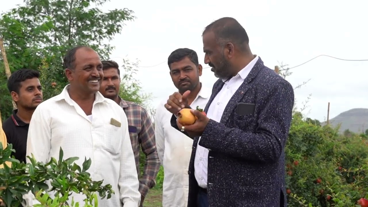 SCTवैदीक अर्धवट वापरनार्या शेतकर्यांनी हे मार्गदर्शन पहाच, सोबत तेल्या व मर साठी रामबाण उपाय‼️