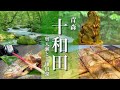 【青森旅行】十和田湖・奥入瀬渓流観光！観光スポットと十和田湖を巡るドライブ旅