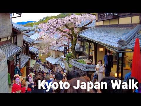 3/18(土)🌸桜咲く産寧坂を歩く京都🌸Kyoto Japan walk!