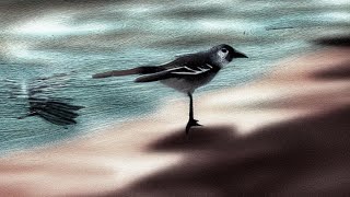 Aquelarre - Pájaro de la Locura (Letra)