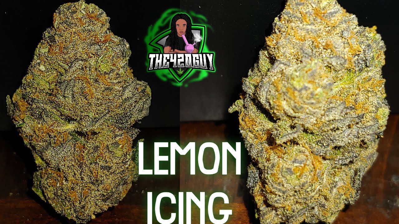 Lemon Icing - Natural State Medicinals - Arkansas Medical Marijuana Review(The420Guy)