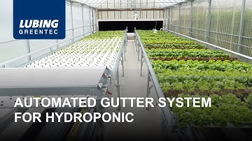 Automated Gutter System for Hydroponic - LUBING GreenTec