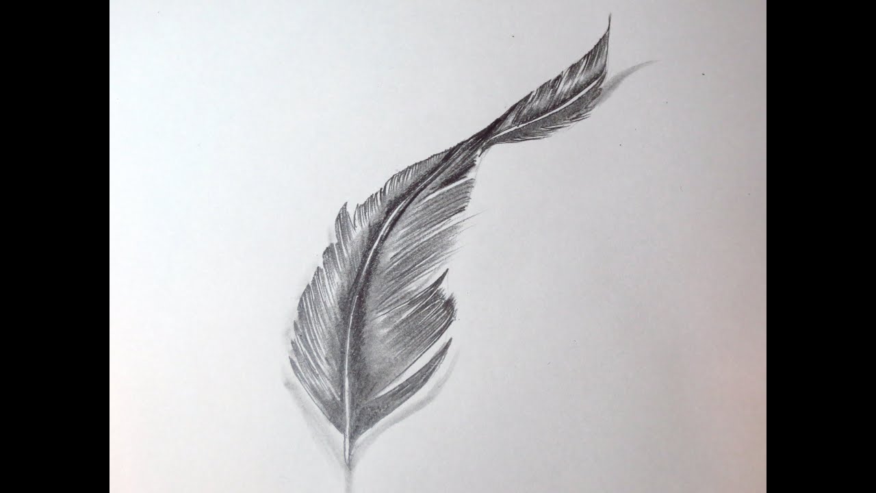 How To Draw A Feather - YouTube