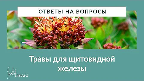 А. П. Ефремов 