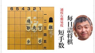 Daily Shogi Problems No. 476 - YouTube